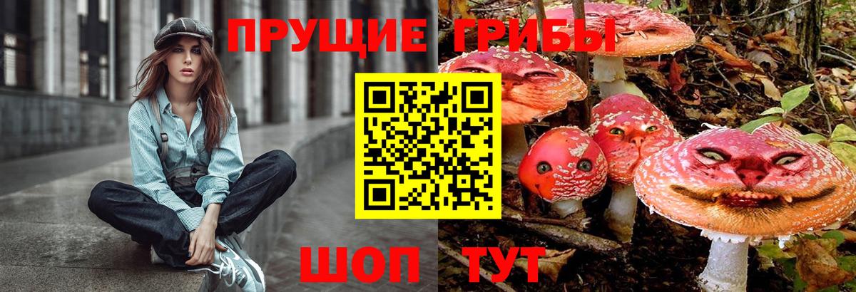Псилоцибиновые грибы MAGIC MUSHROOMS  Вход с VPN  Сальск 