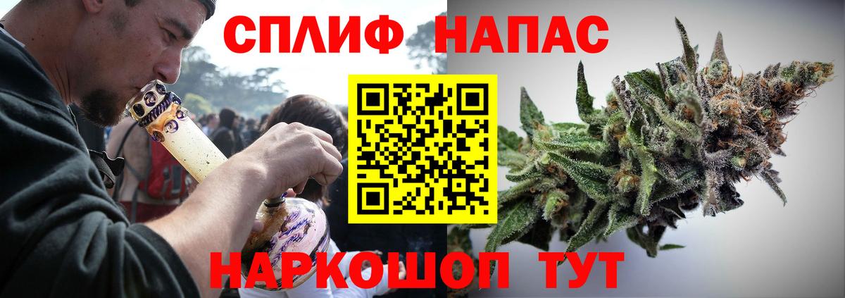Бошки Шишки тримм  Вход с VPN  Каннабис Amnesia  МАРИХУАНА Bruce Banner  Сальск 